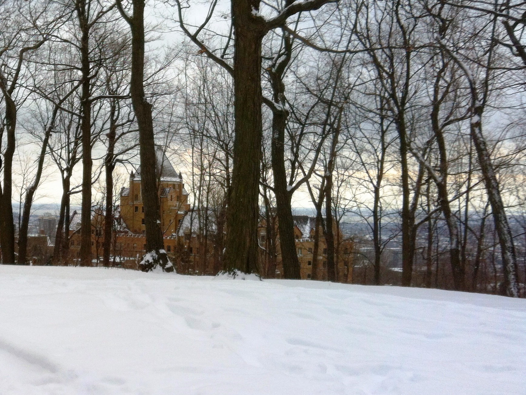 Snowshoeing in Montreal City