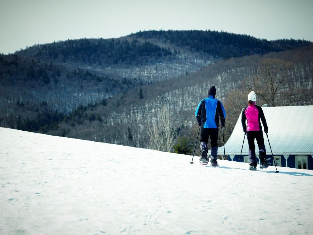 Try snowshoeing this winter